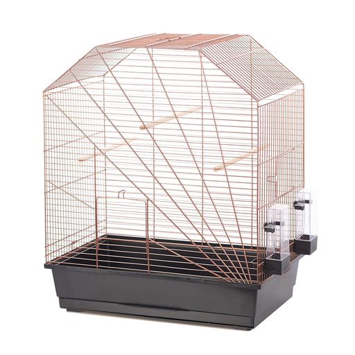 [11683] Bird cage copper lexa [black/copper (Black)]