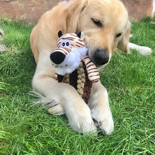 [12045] Zoo friends Tim tijger ring [bruin (Bruin)]