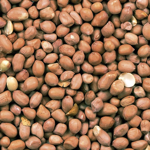 [507] Groundnuts peeLED extra vacuum