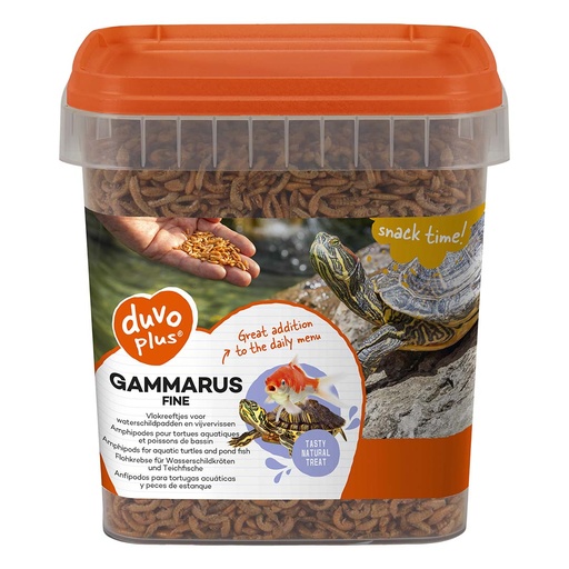 [12990] Gammarus fijn