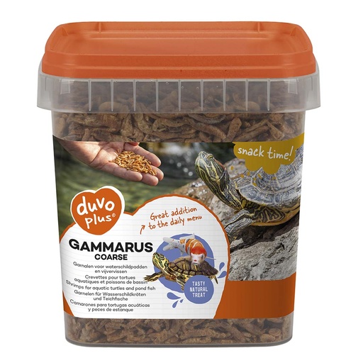 [12991] Gammarus grof