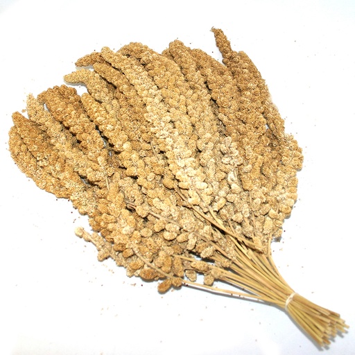 [580] Chinese millet sprays