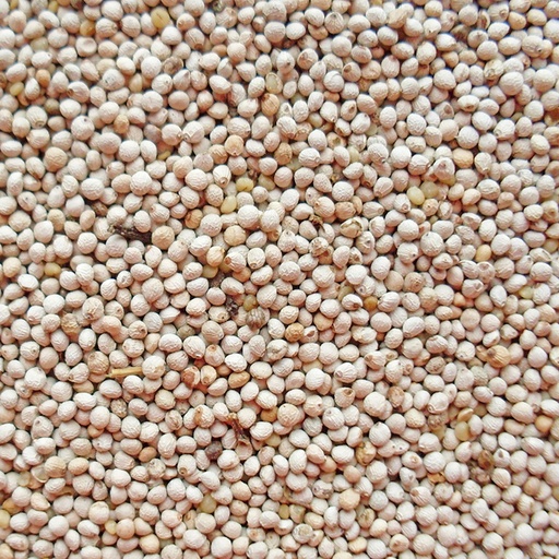 [582] Perilla white