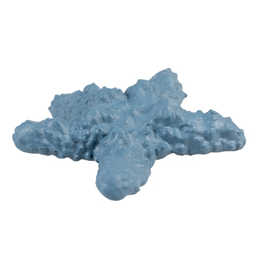 [14362] Eco rubber starfish [blue (Blue)]