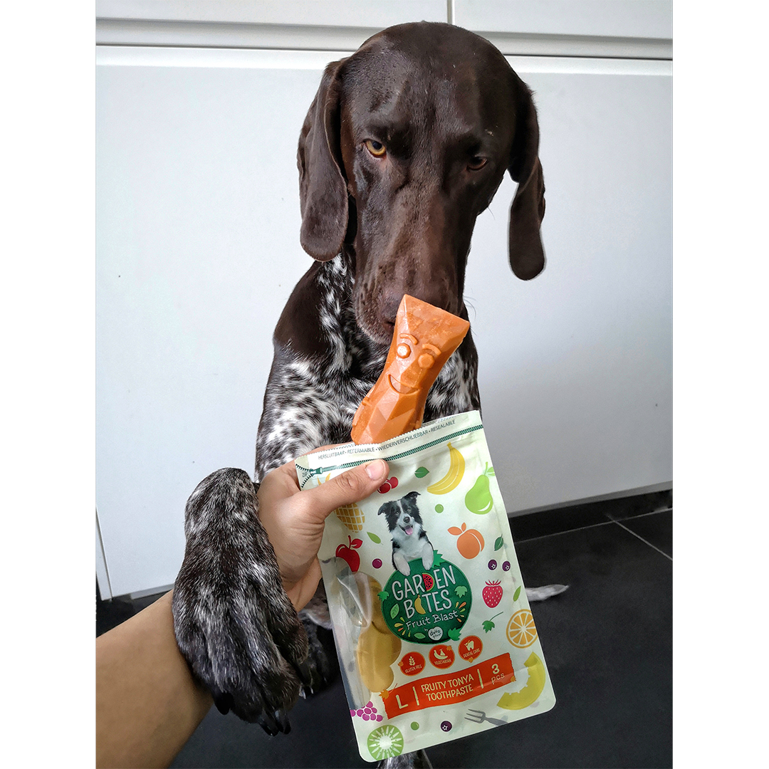 Garden Bites Fruity Tonya toothpaste [gemengde kleuren (Multi)]