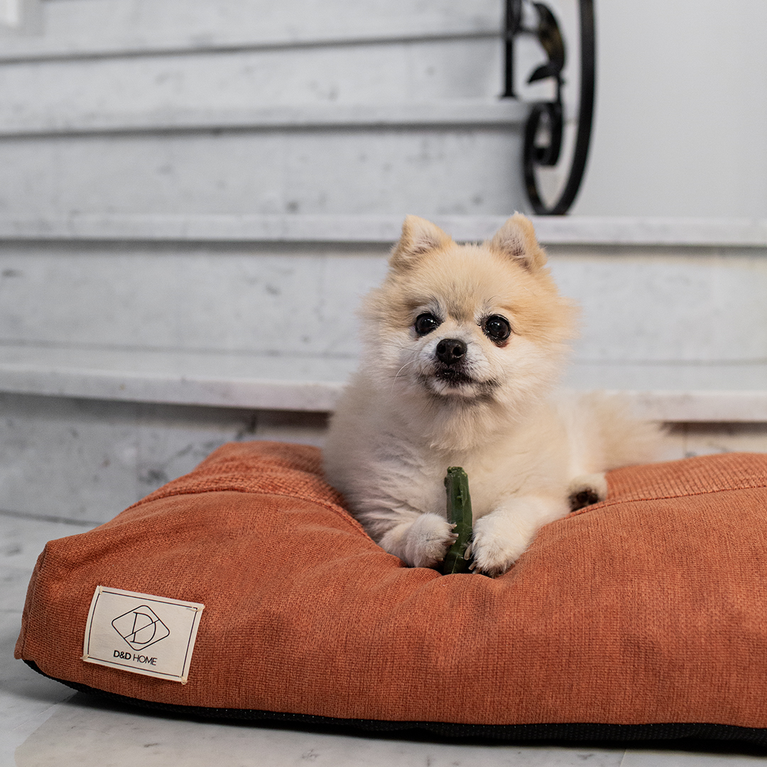 Garden Bites toby toothbrush [gemengde kleuren (Multi)]